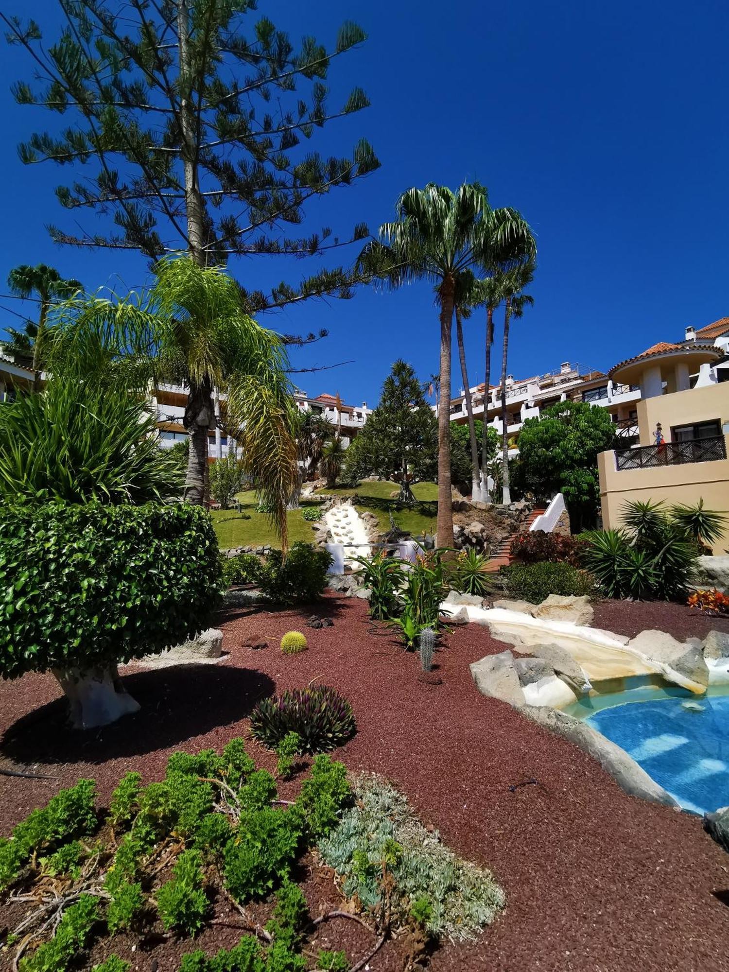 Strelitzia Apartment - Ocean View & Heated Pool San Miguel de Abona Exterior photo
